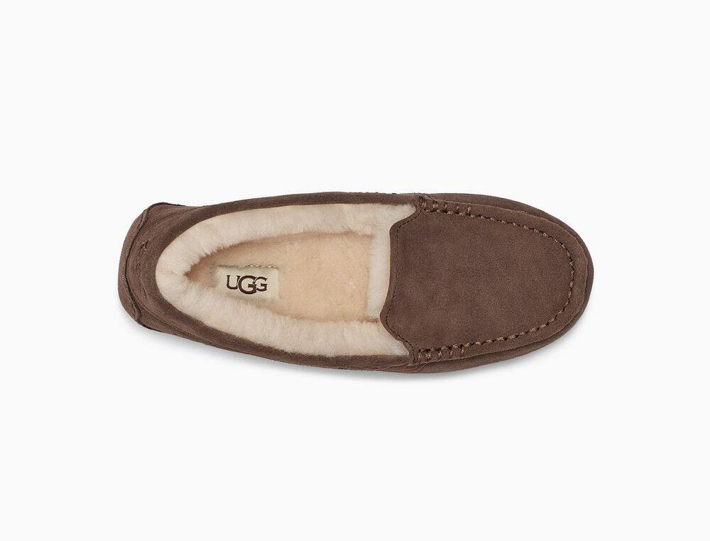 Ugg hot sale ansley fawn